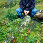 Horst Stern - Aufnahme Dr. Georg Sperber