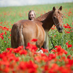 Manuela und Dt. Reitpony Pebbles