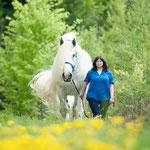 Christine und Percheron Pablo