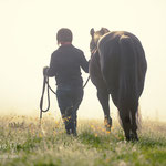 Sabrina und Anglo Trakehner Stincki