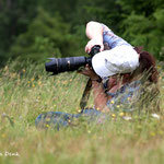 Fotoworkshop Rauris auf der Alm