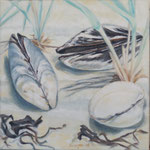 30x30