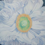 Mohn 2  100x120