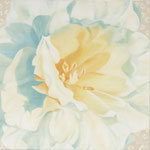 Gefüllte Tulpe   50x50