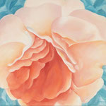 Rose   50x50