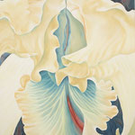 Cattleya 2  120x100  Privatbesitz