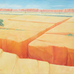 Arizonaimpression 4  80x100