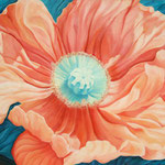 Mohn 1  100x120