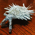 Anomalocaris