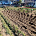 今年はどんな野菜をたくさん植えようか、楽しみです。