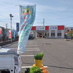 真夏のように感じられた日差しの強い一日でした。
