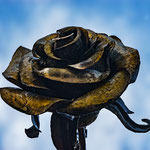 "Metal Rose" von Patrick Heinz, 2. Platz (03/2017)