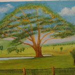 Australian Meadowtree -- 40 cm x 30 cm in oils - in shop