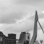 12. Cruiseschip MS Rotterdam en Erasmusbrug