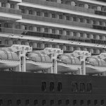 11. Cruiseschip MS Rotterdam