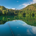 Freibergsee im sommerlichen Morgenlicht