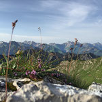 Unterwegs im Nebelhorngebiet