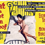 cat on a hot tin roof poster