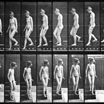 edward muybridge - nude descending the stairs