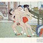 chinese erotiek