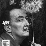 salvador dali