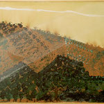 176  Andalusien 2   (70x50)   2007