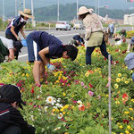 8月には雑草を取り除く作業も行いました