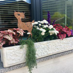 Blumenschmuck Apart Rauch Zillertal