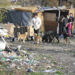 Impression einer Mahalla (Roma-"Slum")