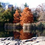 Central Park, NY