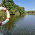 der Main, idyllisch und sehenswert