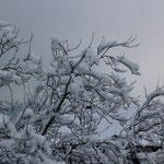 Winterimpression