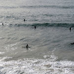 Hier "schwimmen" die Surfer und warten auf ihre Wellen