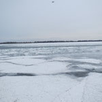 Durch das Eis zu den Toronto Islands!