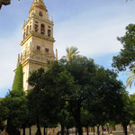 Mezquita-Catedral de Córdoba (Moschee-Kathedrale)