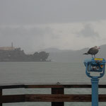 Alcatraz vom Pier 39