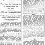 New York Sun - "Bargain Day" Draws Big Marget Crowd October - Oct. 18, 1914