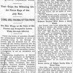 Brooklyn Eagle - Long Island Drought Has Hit Queens Farmers Hard - July 27,  1910