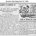 Brooklyn Daily Eagle - Elmont Stirred Up - Daniel Stattel - April 10, 1906 