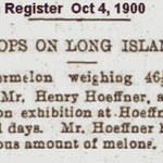 Newtown Register - Crops on Long Island - October 4, 1900