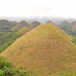 the famous Chocolate Hills