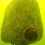 Kanister 10 Liter