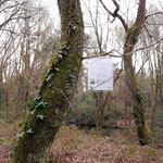 Kergonano - le long du ruisseau