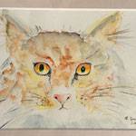 Katze, 30 x 24 cm, 80,00 €