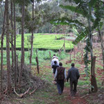訪問2軒目、野菜畑の先にソロモンさん(茶色のベストを着た男性)の茶畑があります。