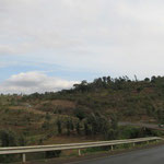 ナイロビ～メルーまで、250ｋｍの道のりを6時間ほどかけて向います。