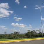 JKIA空港を出て、すぐ左のナイロビ国立公園