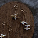 pierce 「flying seeds  asymmetry -pearl-」image
