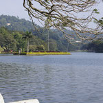 Lake Kandy - hinter den Bäumen links ist der Zahntempel, den ich morgen Früh besuchen möchte...