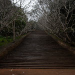 Treppen in Mihintale...